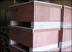 點(diǎn)擊放大查看